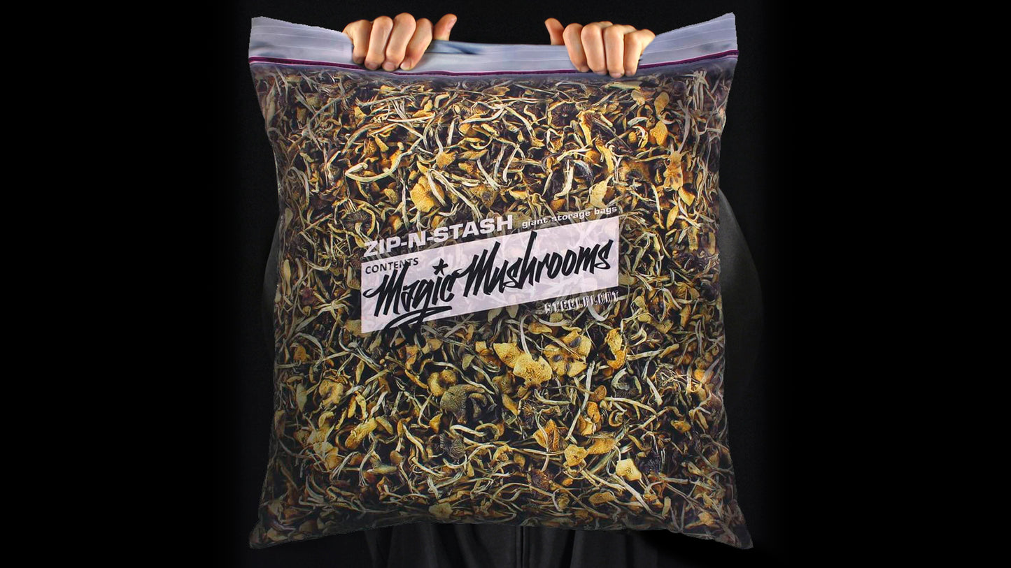 Magic Mushrooms Giant Stash Shroom Pillowcase